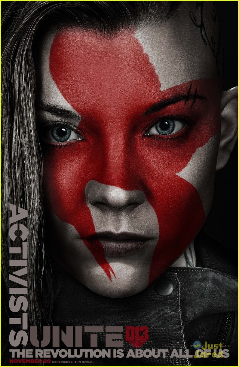 The Hunger Games: Mockingjay - Part 2 Movie Poster (#1 of 29