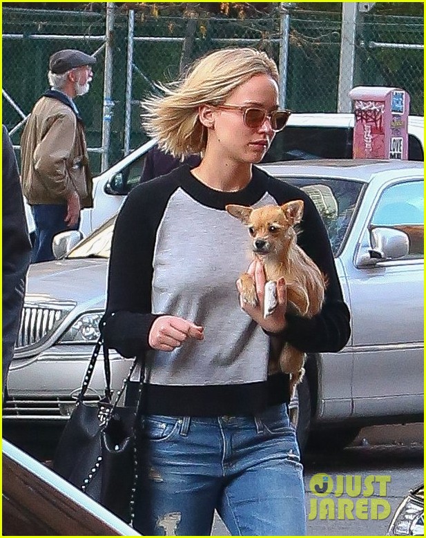 jennifer lawrence takes a post thanksgiving stroll with pippi 06