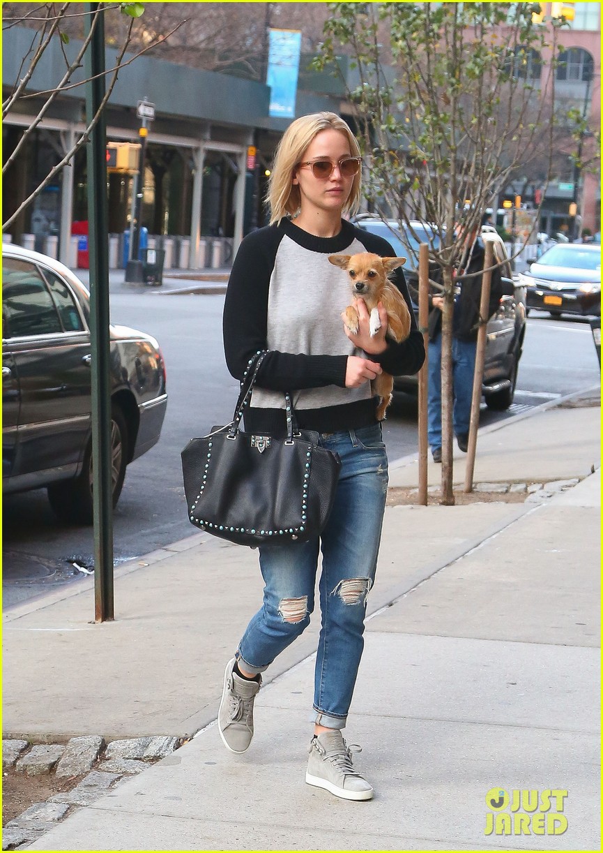 jennifer lawrence takes a post thanksgiving stroll with pippi 12