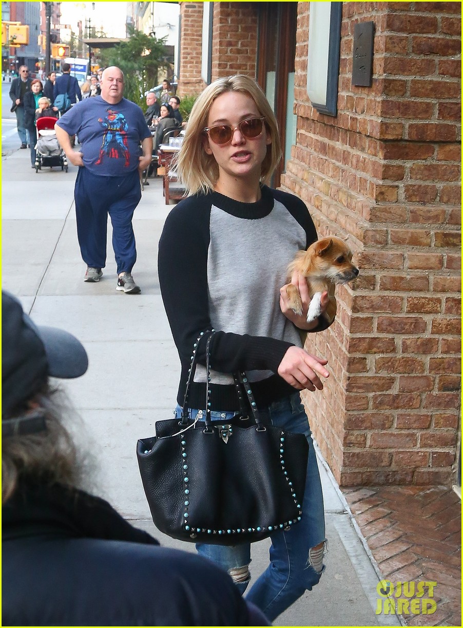 jennifer lawrence takes a post thanksgiving stroll with pippi 20