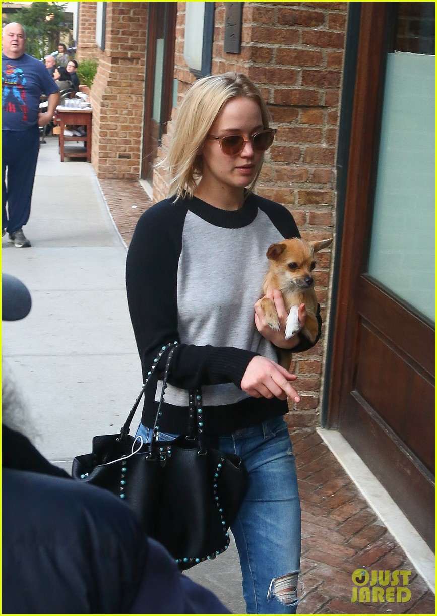 jennifer lawrence takes a post thanksgiving stroll with pippi 21