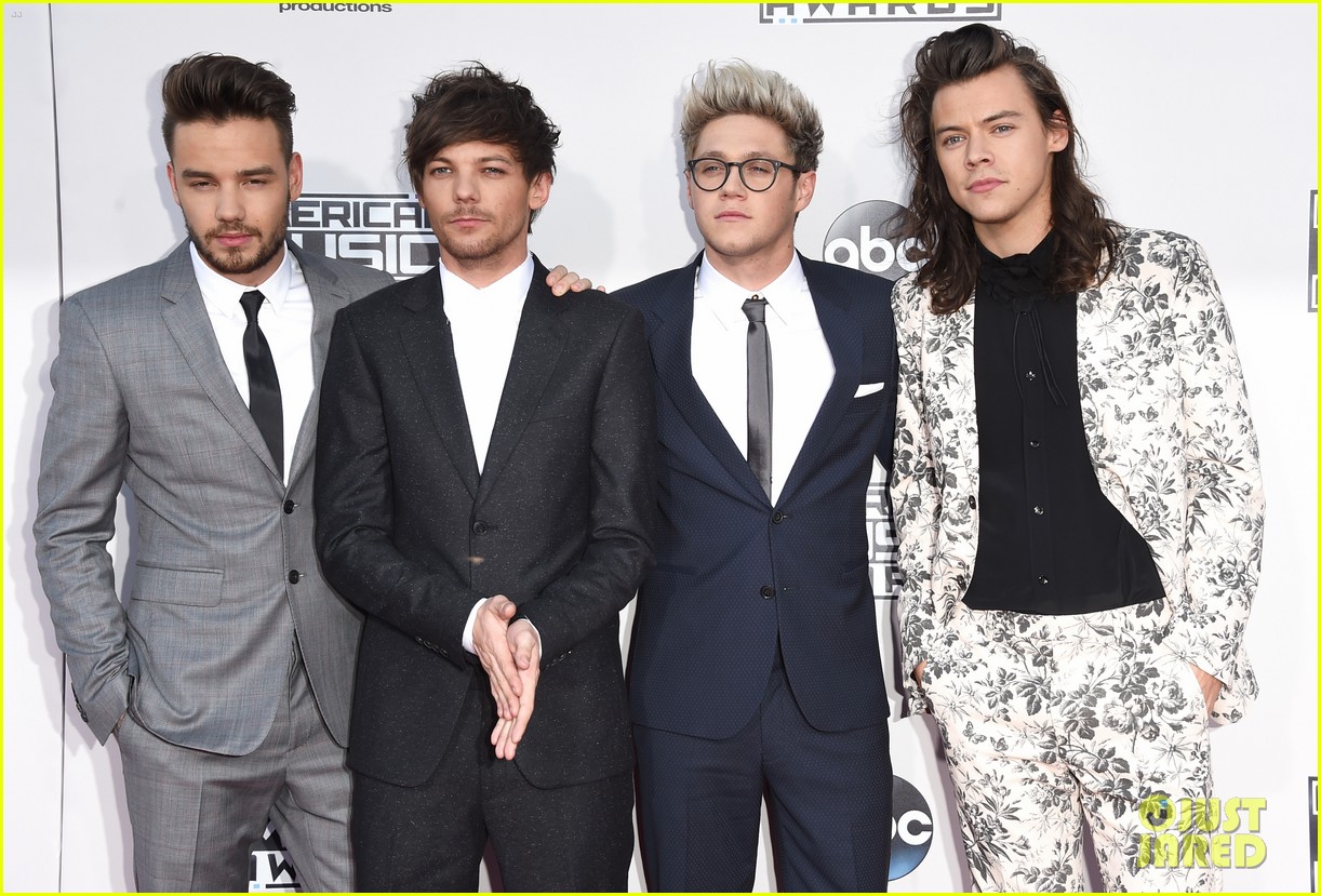 one direction amas 2015 red carpet 01