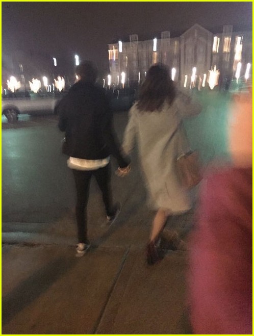 louis tomlinson danielle campbell hold hands chicago 05