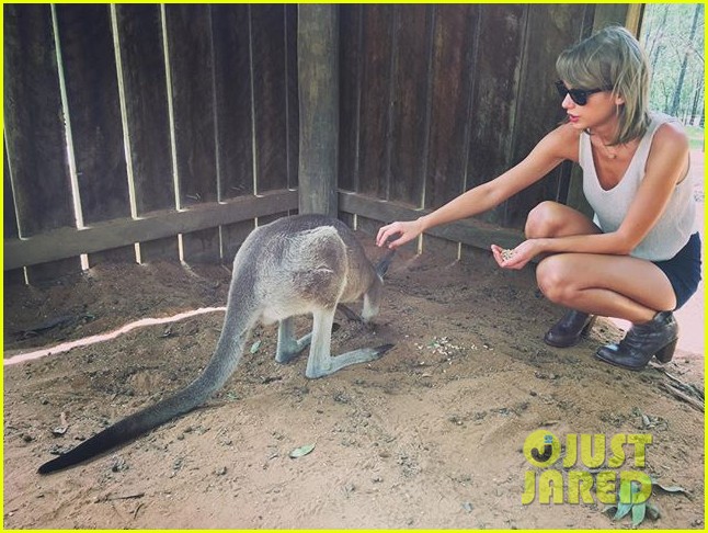 taylor swift blake lively hang out in australia 03