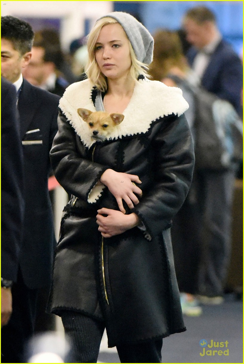 jennifer lawrence dog coat jfk airport 09