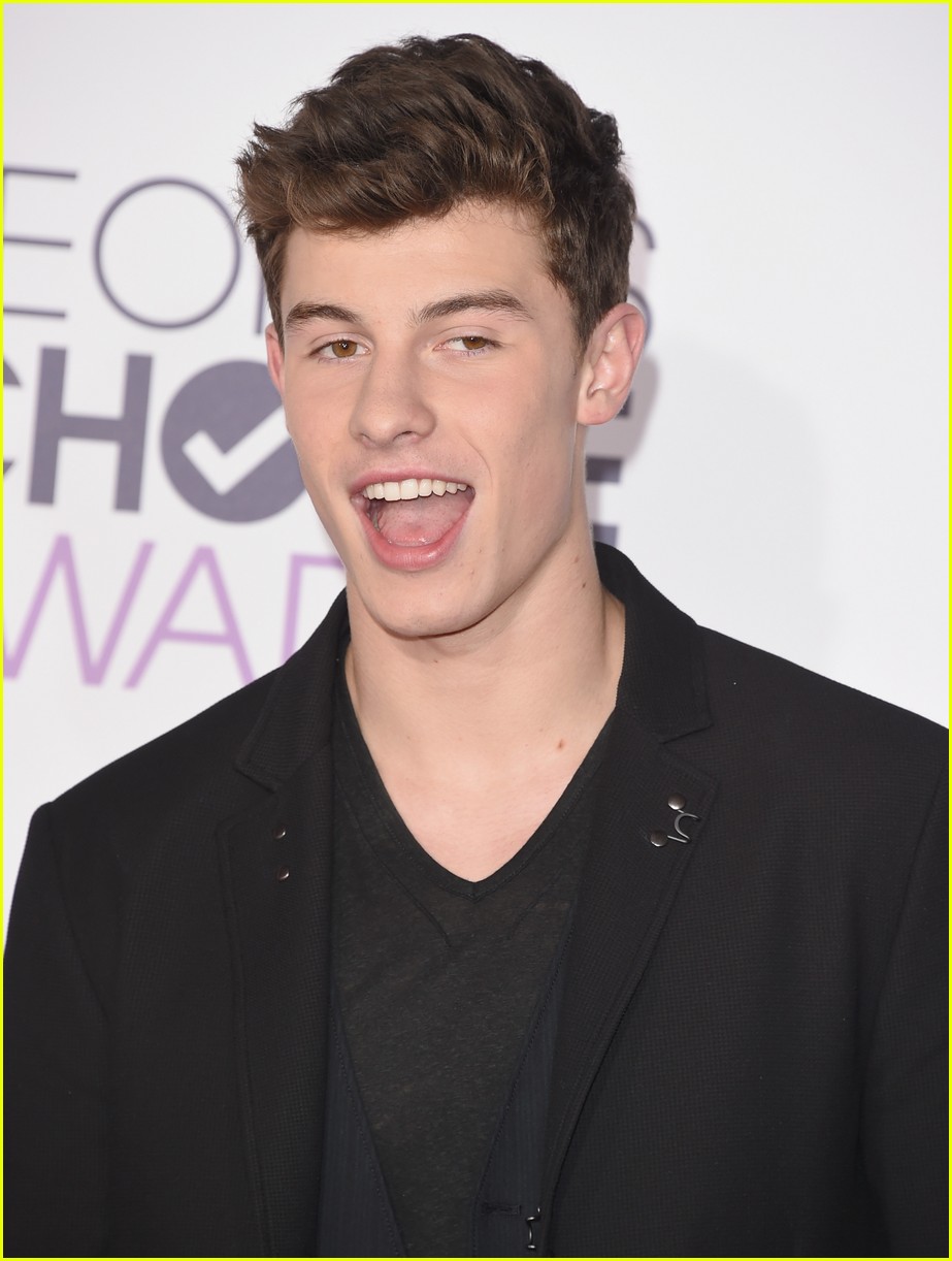shawn mendes 2016 pca arrival 02