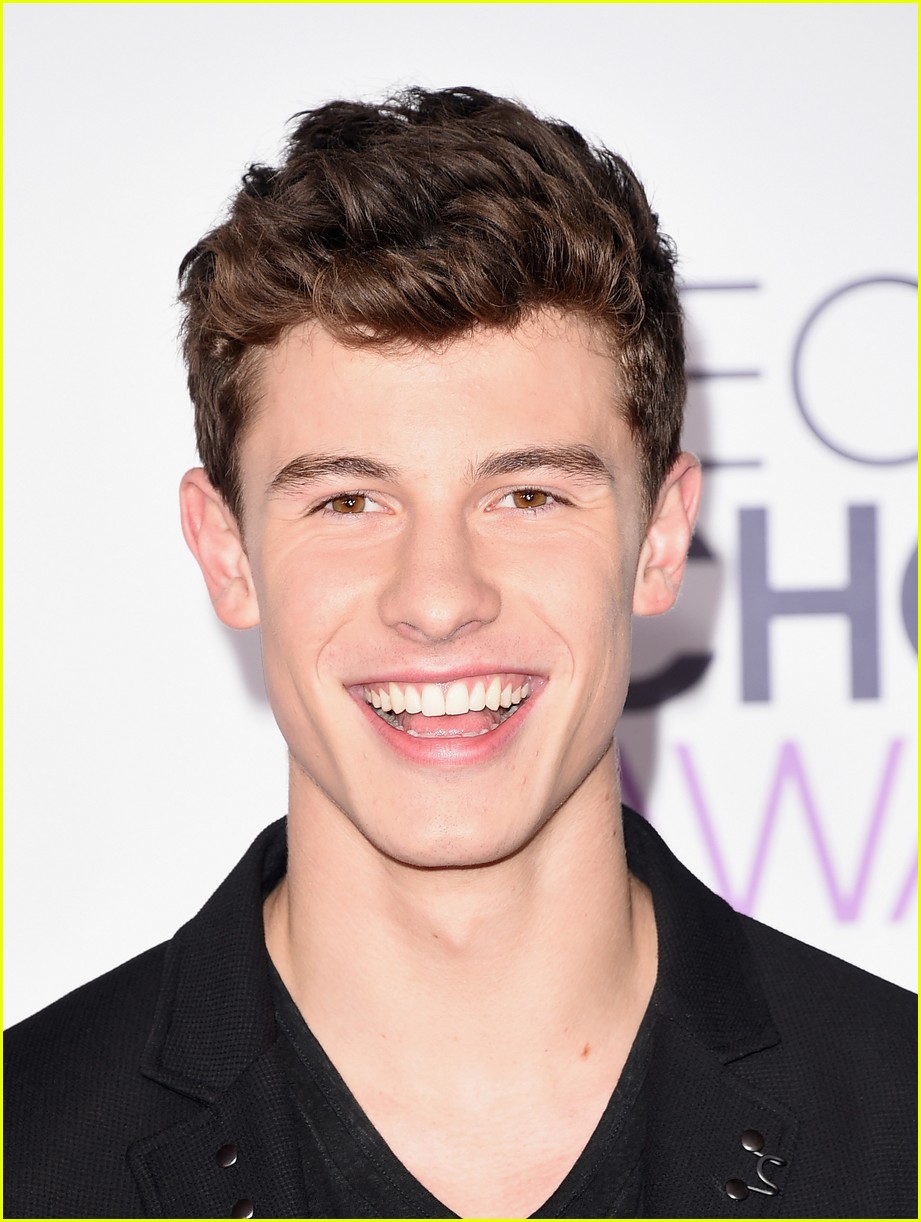 shawn mendes 2016 pca arrival 04