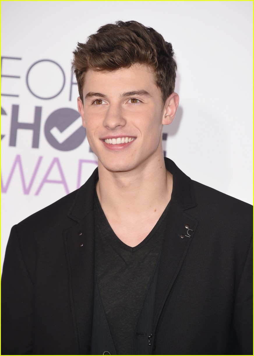 shawn mendes 2016 pca arrival 07