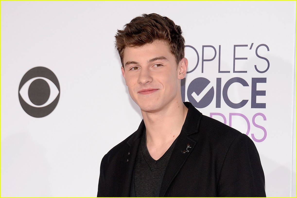 shawn mendes 2016 pca arrival 10
