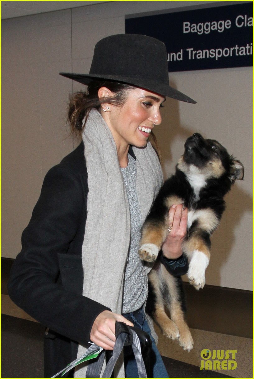 nikki reed flies with dog new owners lax 08