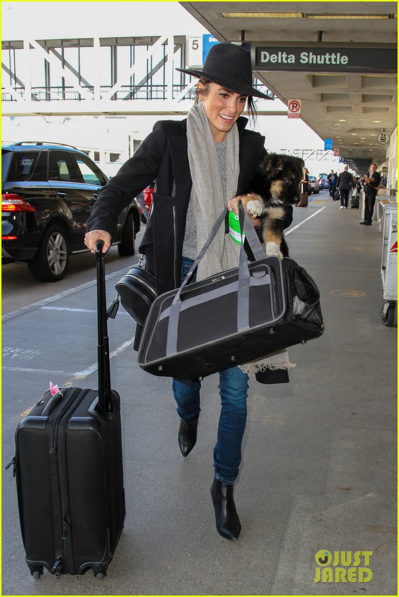nikki reed flies with dog new owners lax 09