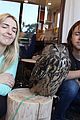 rydel ellington r5 japan owl meditation pics 01