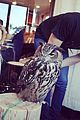 rydel ellington r5 japan owl meditation pics 05