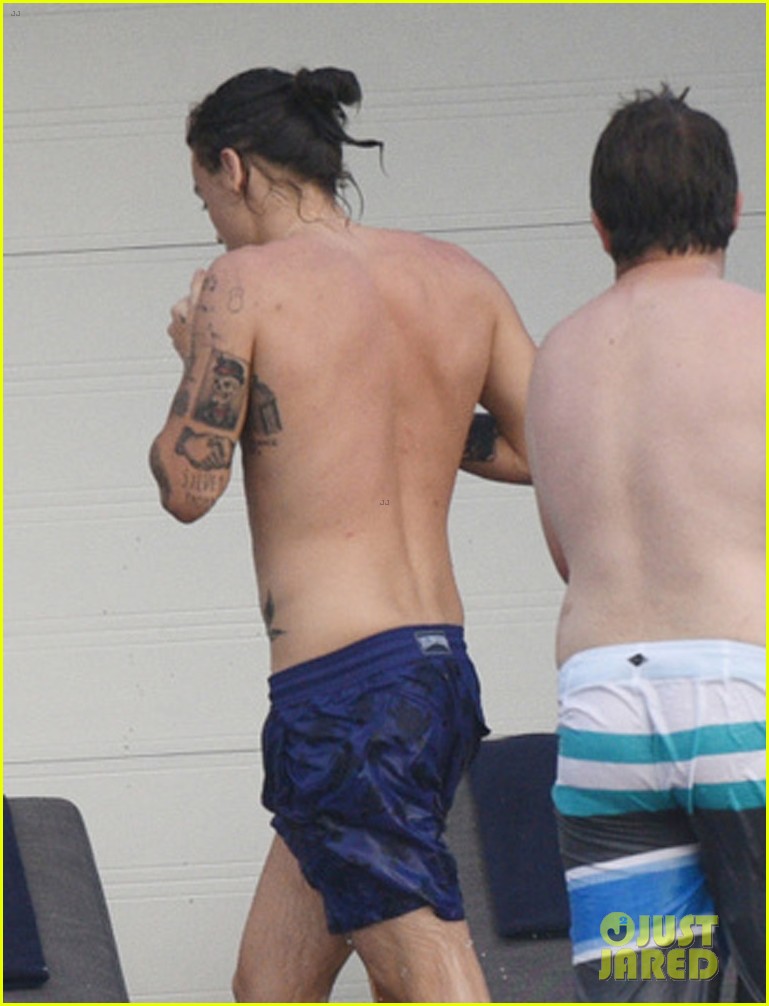 kendall jenner harry styles st barts vacation 15