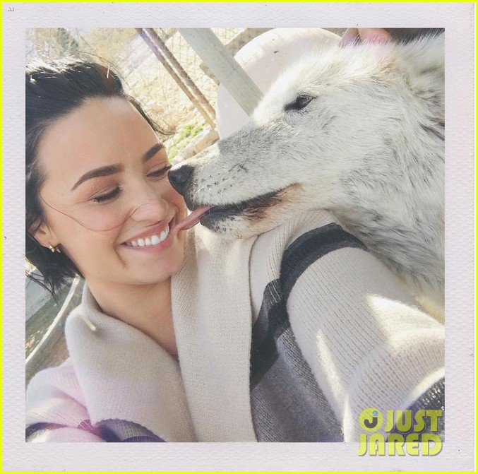 Demi Lovato Celebrates Wilmer Valderrama's Birthday at a Wolf Sanctuary