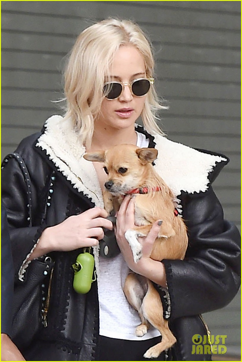 jennifer lawrence arrives in nyc with pup 01