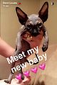 demi lovato shows off her new hairless cat 01