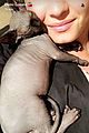 demi lovato shows off her new hairless cat 02