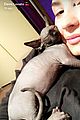 demi lovato shows off her new hairless cat 04