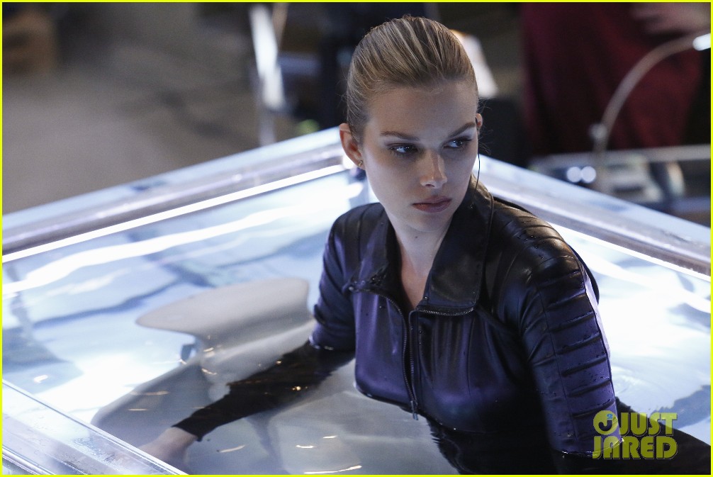 stitchers all in photos preview 05