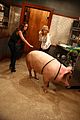 young hungry piggy stills 20