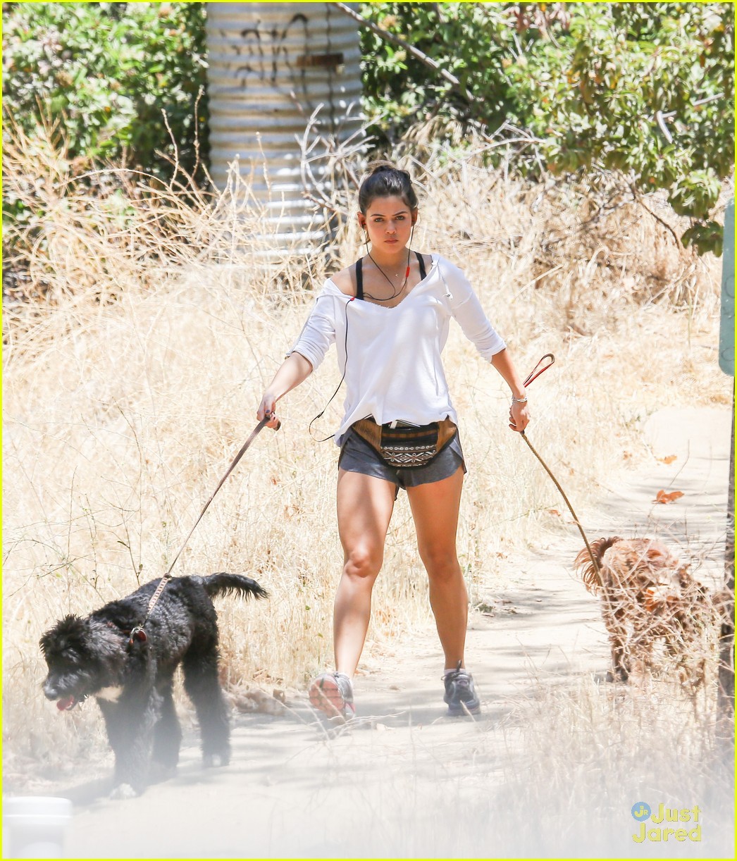 danielle campbell hike with her dogs 20