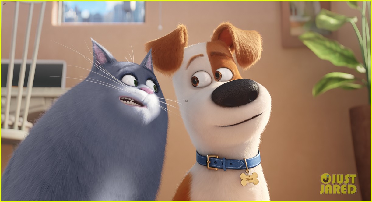 secret life of pets sequel hits theaters in 2018 03