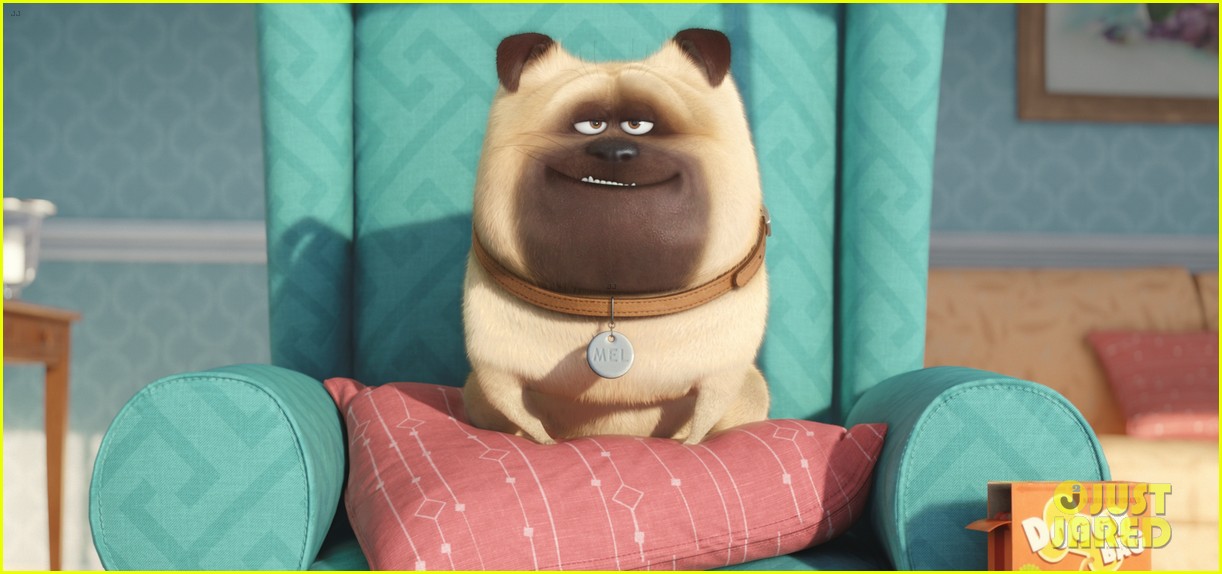 secret life of pets sequel hits theaters in 2018 04
