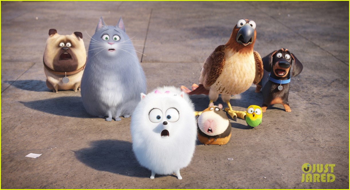 secret life of pets sequel hits theaters in 2018 07