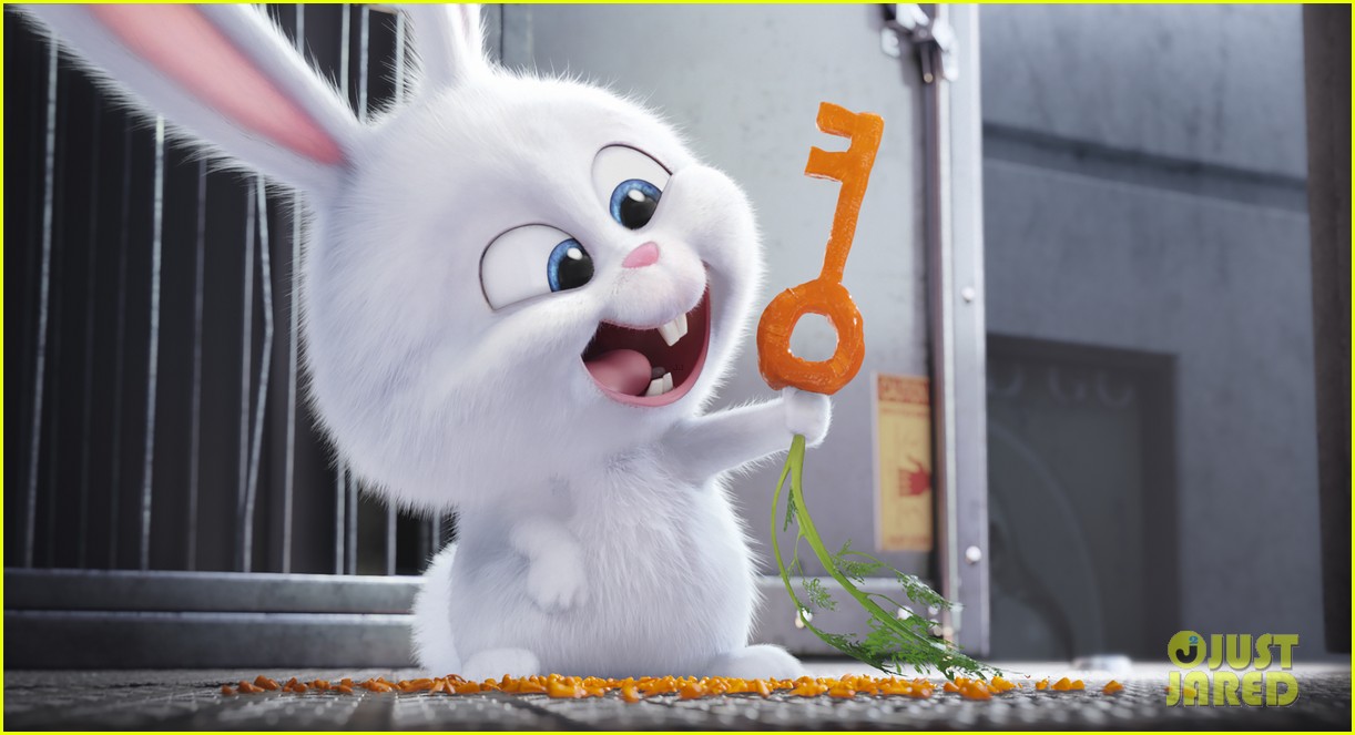 secret life of pets sequel hits theaters in 2018 08