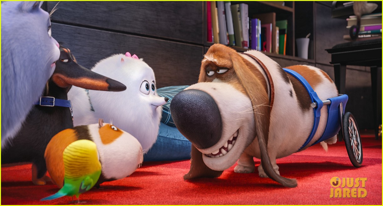 secret life of pets sequel hits theaters in 2018 11
