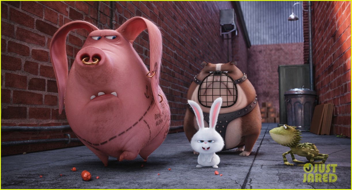 secret life of pets sequel hits theaters in 2018 12