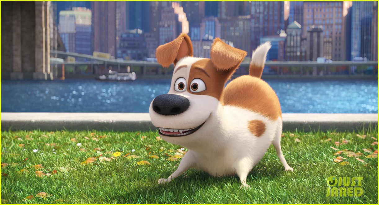 secret life of pets sequel hits theaters in 2018 15