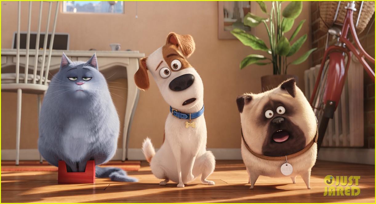 secret life of pets sequel hits theaters in 2018 17