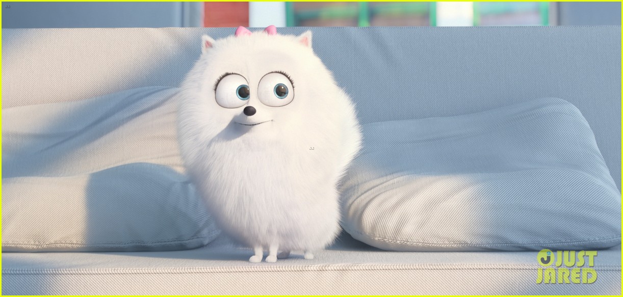 secret life of pets sequel hits theaters in 2018 18