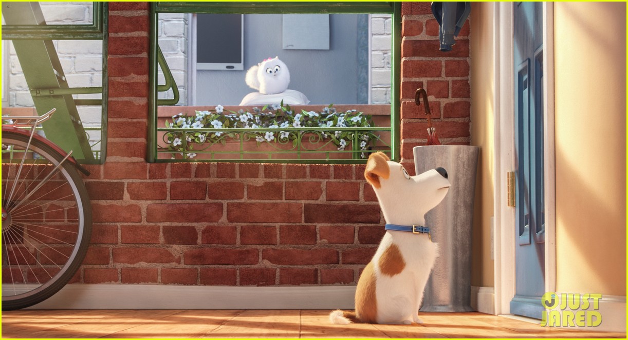 secret life of pets sequel hits theaters in 2018 19