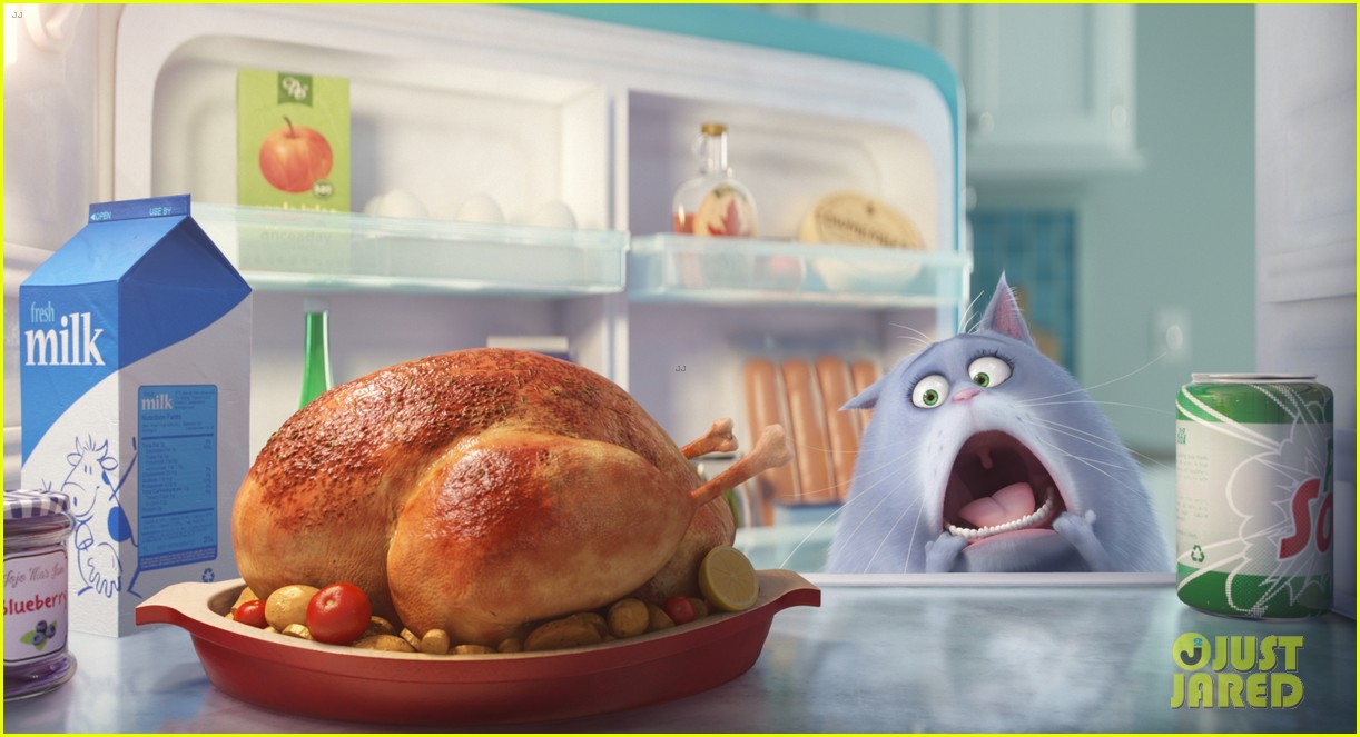 secret life of pets sequel hits theaters in 2018 20