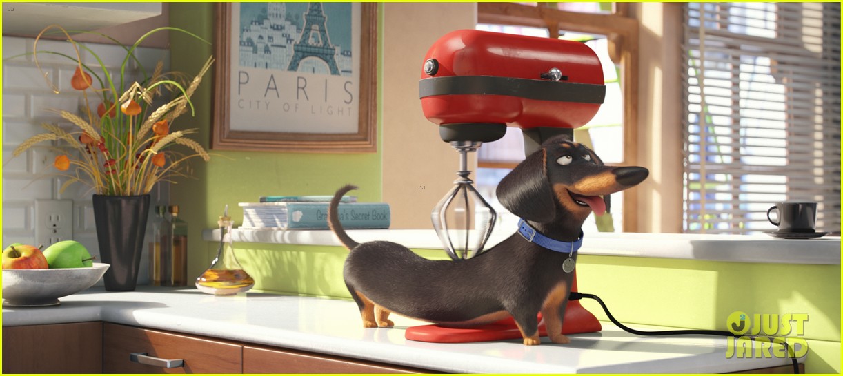 secret life of pets sequel hits theaters in 2018 21