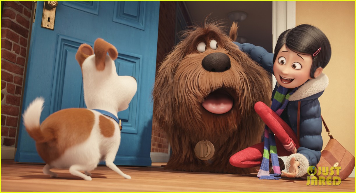 secret life of pets sequel hits theaters in 2018 22