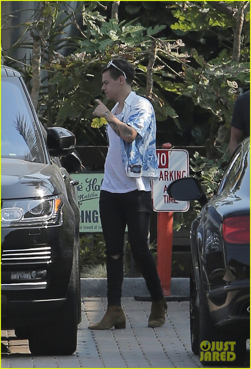 harry styles steps out for lunch at rande gerbers cafe habana 01