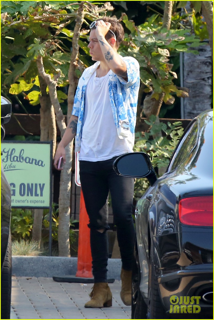 harry styles steps out for lunch at rande gerbers cafe habana 14