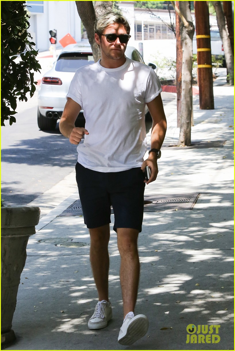 niall horan luggage sunset marquis 10