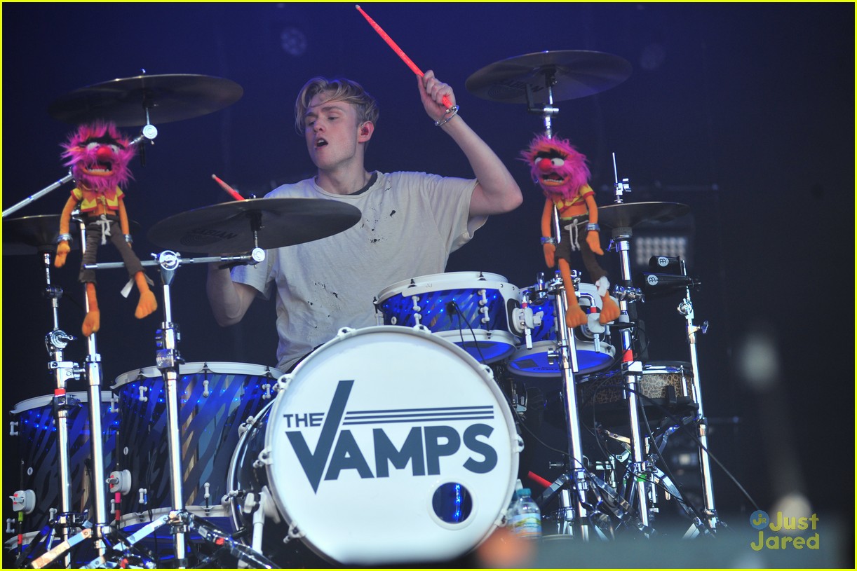 the vamps blackpool illumination concert indian fans 01