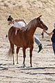 kendall caitlyn jenner go horseback riding 06