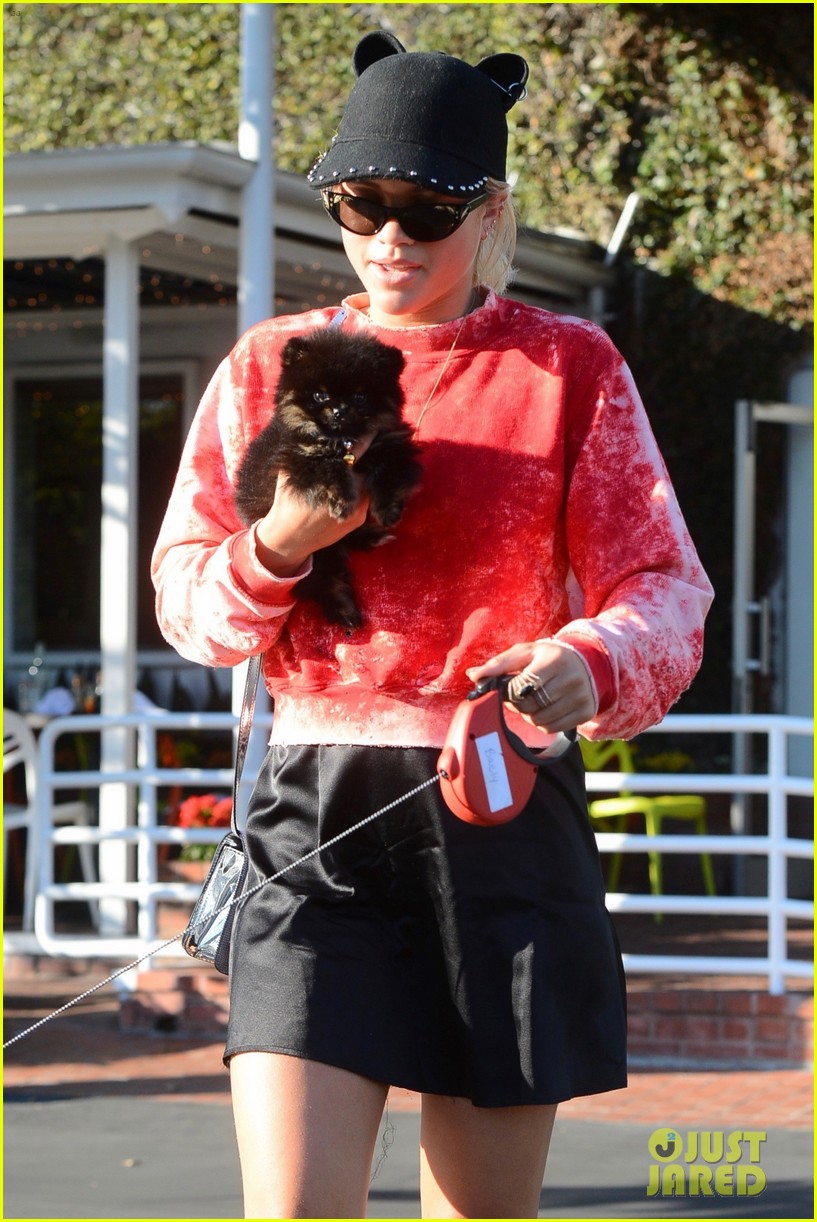 sofia richie dogs fred segal lunch 02