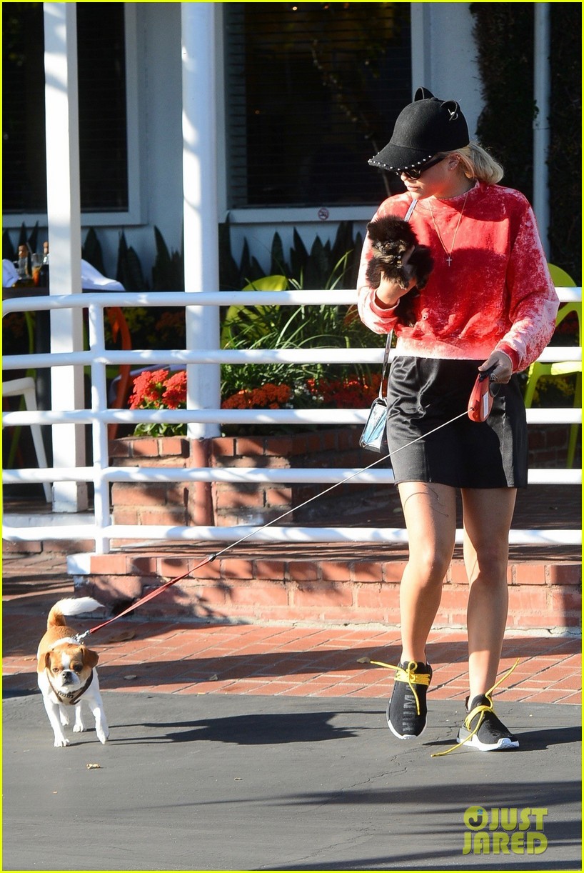 sofia richie dogs fred segal lunch 23