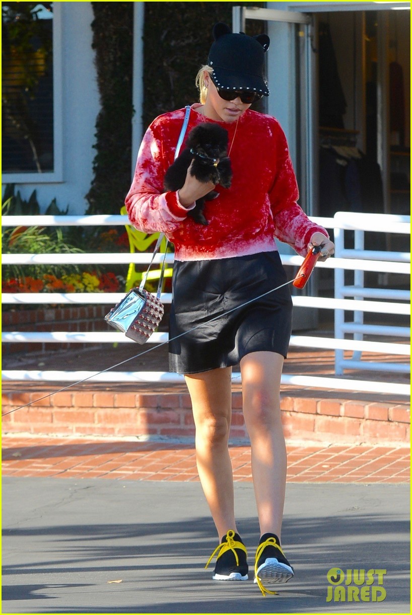 sofia richie dogs fred segal lunch 26