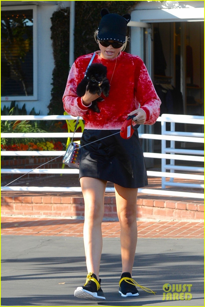 sofia richie dogs fred segal lunch 28