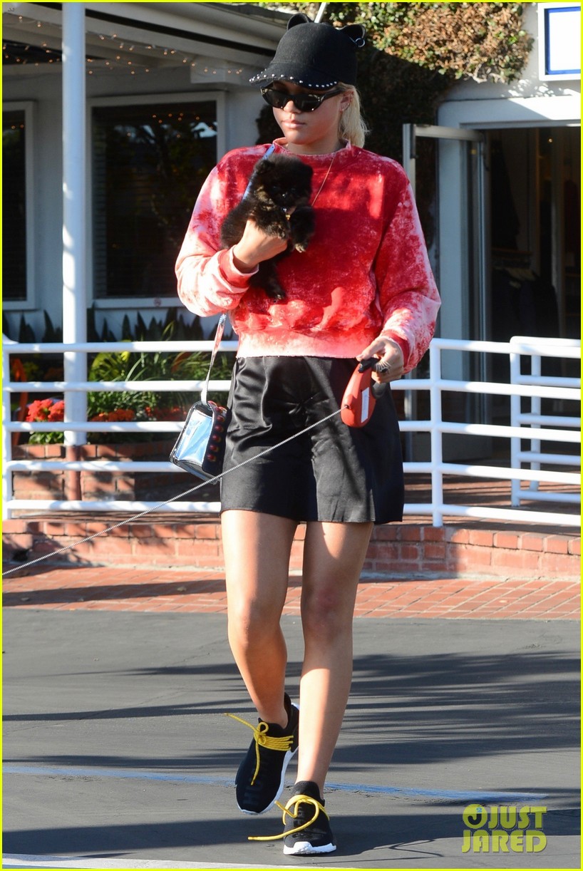 sofia richie dogs fred segal lunch 29