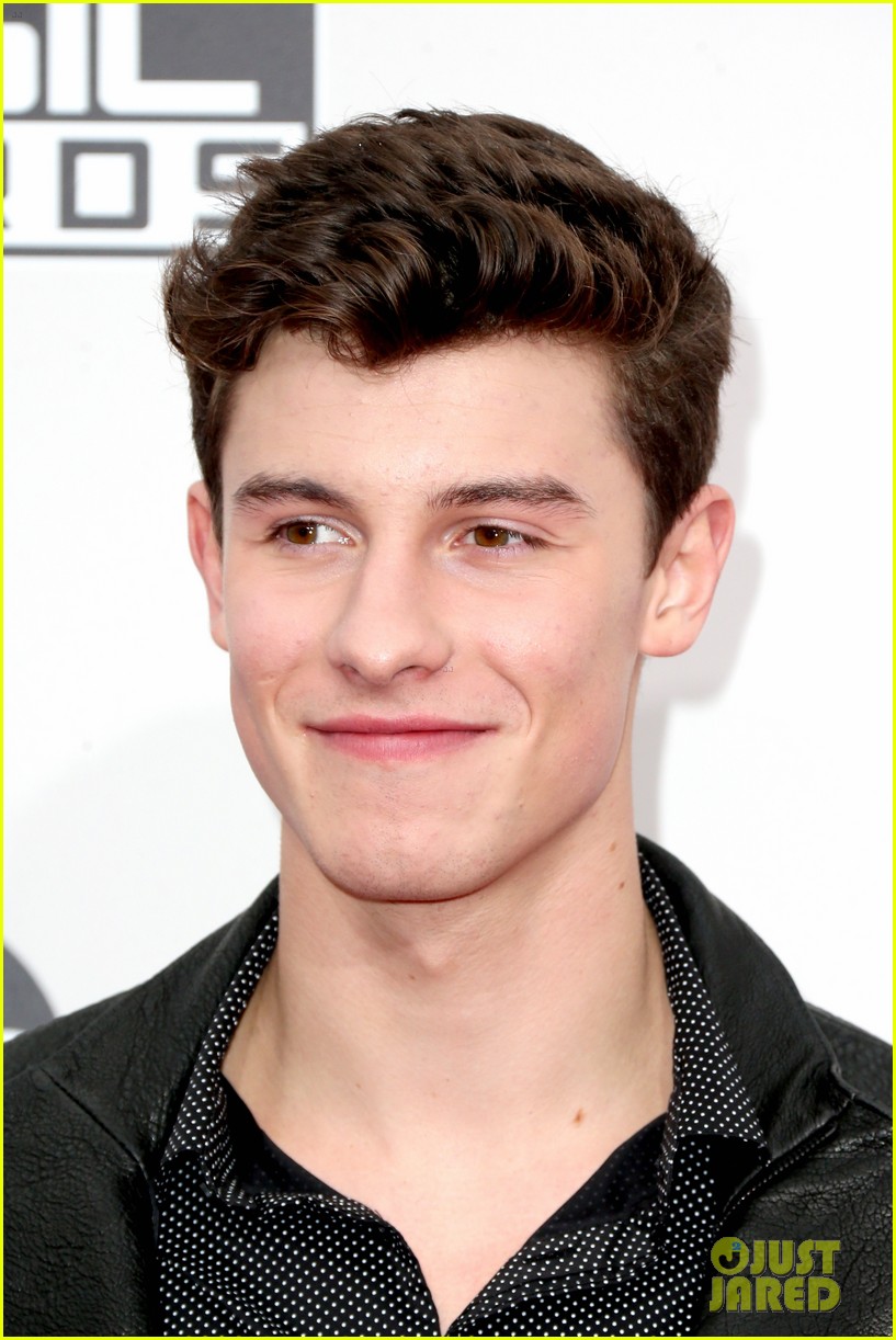 shawn mendes amas 2016 red carpet 03